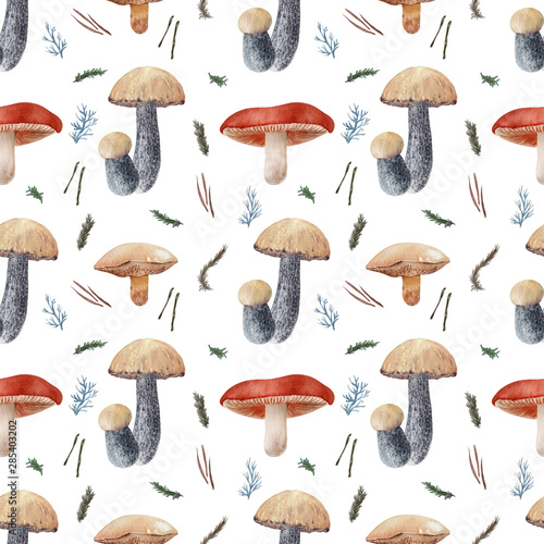 Watercolor background with different kinds of mushrooms