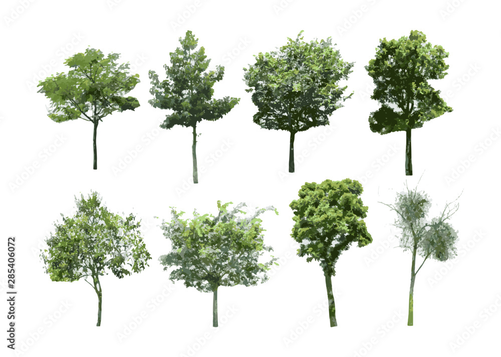  isolated of trees on the white background. 