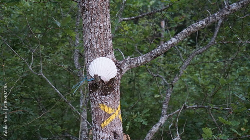 Shell of the pilgrims of Santiago de Compostela