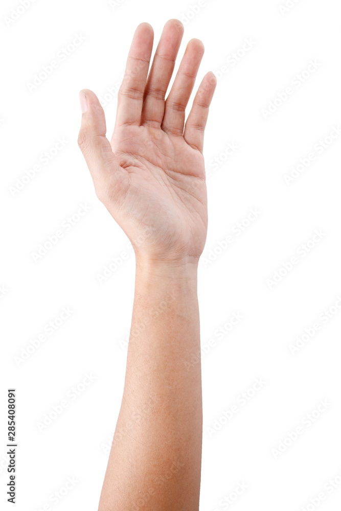 Male asian hand gestures isolated over the white background. Male asian hand gestures isolated over the white background.