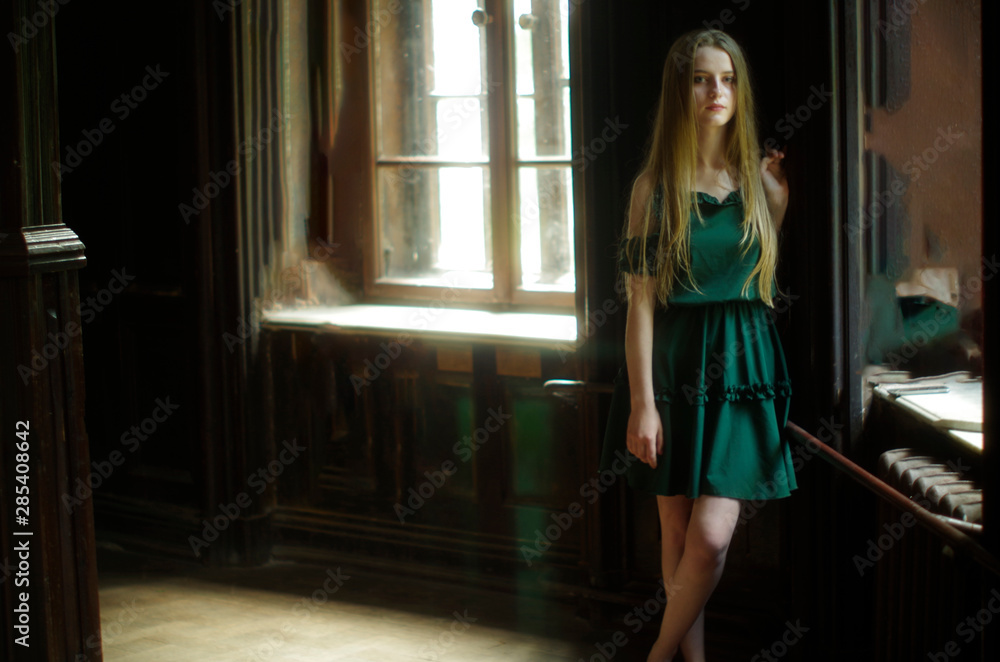 Naklejka premium beautiful young blonde with long flowing hair and blue eyes in an old castle