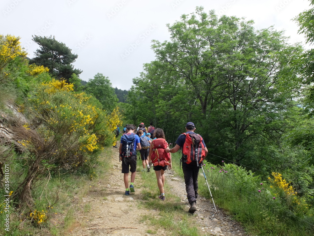 groupe de randonnée randonneurs en foret forêt et entraide