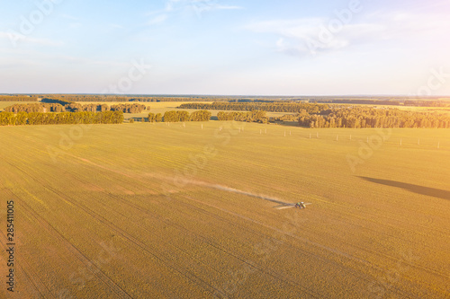 Aerial view of a farm tractor in a yellow field during spraying and for growing food  vegetables and fruits on indian summer sunny day. Agriculture industry.