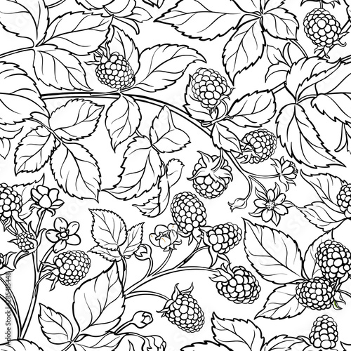 boysenberry vector pattern