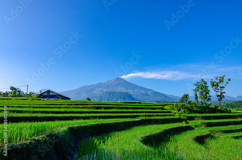 Eruption of Mount Arjuna/Arjuno-Welirang with rice paddies epic view