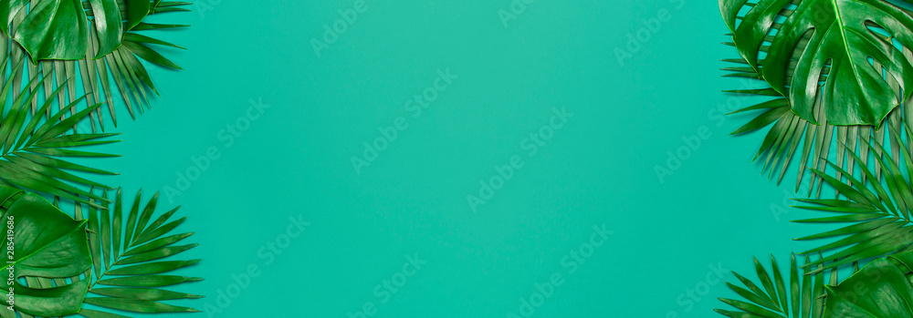 Creative minimal background with tropical leaves. Frame of tropical palm leaves and monstera leaf on blue emerald background. Flat lay, top view, copy space. Summer background, nature. Long format Creative minimal background with tropical leaves. Frame of tropical palm leaves and monstera leaf on blue emerald background. Flat lay, top view, copy space. Summer background, nature. Long format