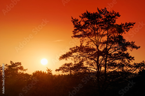 trois pignons forest sunrise in the french Gâtinais regional nature park © hassan bensliman