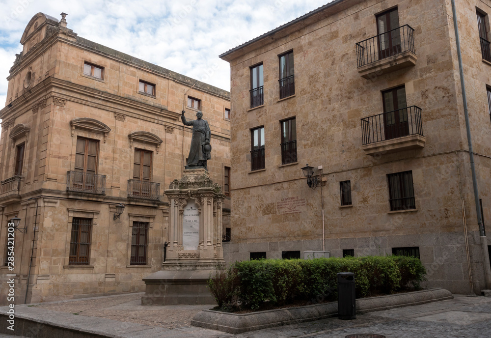 statue of Father Camara, Tomás de Cámara y Castro, located in front of the main facade of the New Cathedral, next to the Episcopal Palace, in John XXIII Square, Salamanca, Spain
