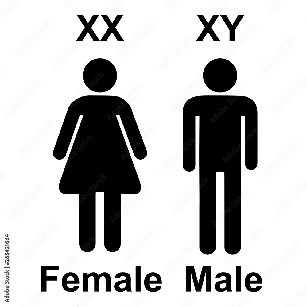 Chromosome X Y Sex Determination , XX female, and XY males Vector Sign Stock Vector | Adobe Stock