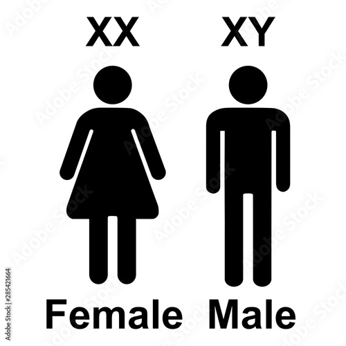 Xxx Com English Sex Video - Chromosome X Y Sex Determination , XX female, and XY males Vector Sign  Stock Vector | Adobe Stock