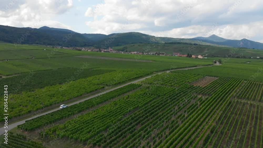 Aerial of White Car Driving through the Vins d'Alsace Vineyards. Aerial of White Car Driving through the Vins d'Alsace Vineyards.