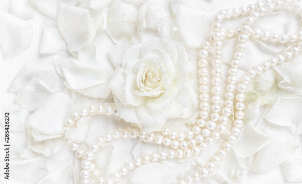 Beautiful white rose with petals and pearl necklace on white background. Ideal for greeting cards for wedding, birthday, Valentine's Day, Mother's Day - obrazy, fototapety, plakaty 