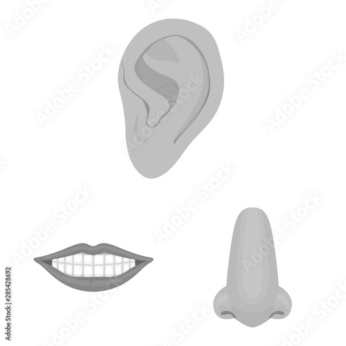 Vector design of body and part icon. Set of body and anatomy vector icon for stock.