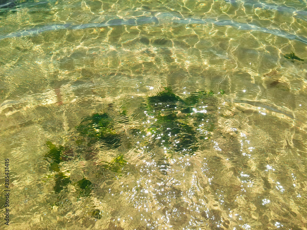 Clear water ripples and patterns with seaweed and yellow sand. Black Sea.