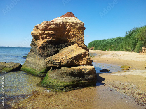 Big rock with moss and seaweed on the wild beach with yellow sand and green bushes. Black Sea.