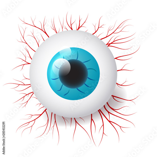 Happy Halloween design element. Realistic eye with veins.