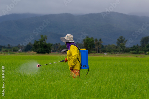Farmers spraying herbicides in the fields