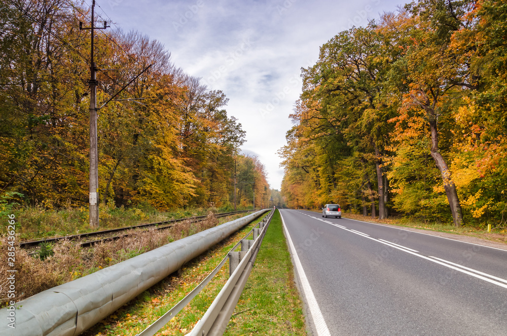 COLORFUL AUTUMN - cars on asphalt road and railway trail among beech golden forest