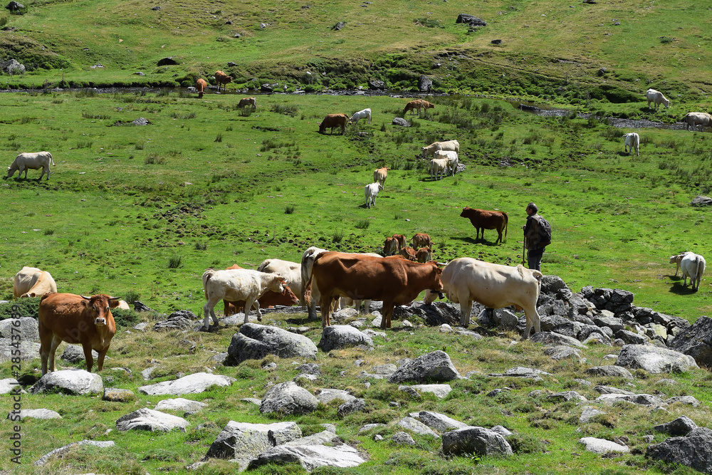 Fototapeta premium Ariège - Psatoralisme
