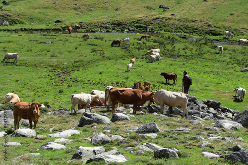 Wallpaper Mural Ariège - Psatoralisme Torontodigital.ca