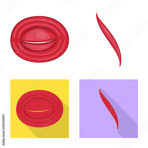 Vector illustration of fiber and muscular icon. Collection of fiber and body stock symbol for web.