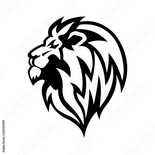 lion head - mascot logo vector photo