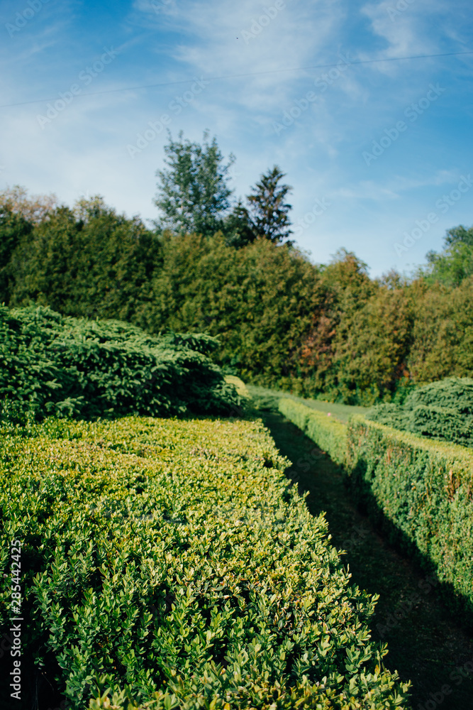 Obraz premium Ukrainian spring park in the rays of the spring sun