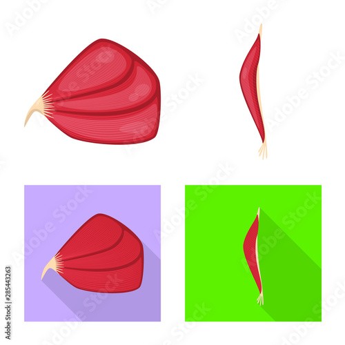 Vector design of fiber and muscular sign. Set of fiber and body stock vector illustration.