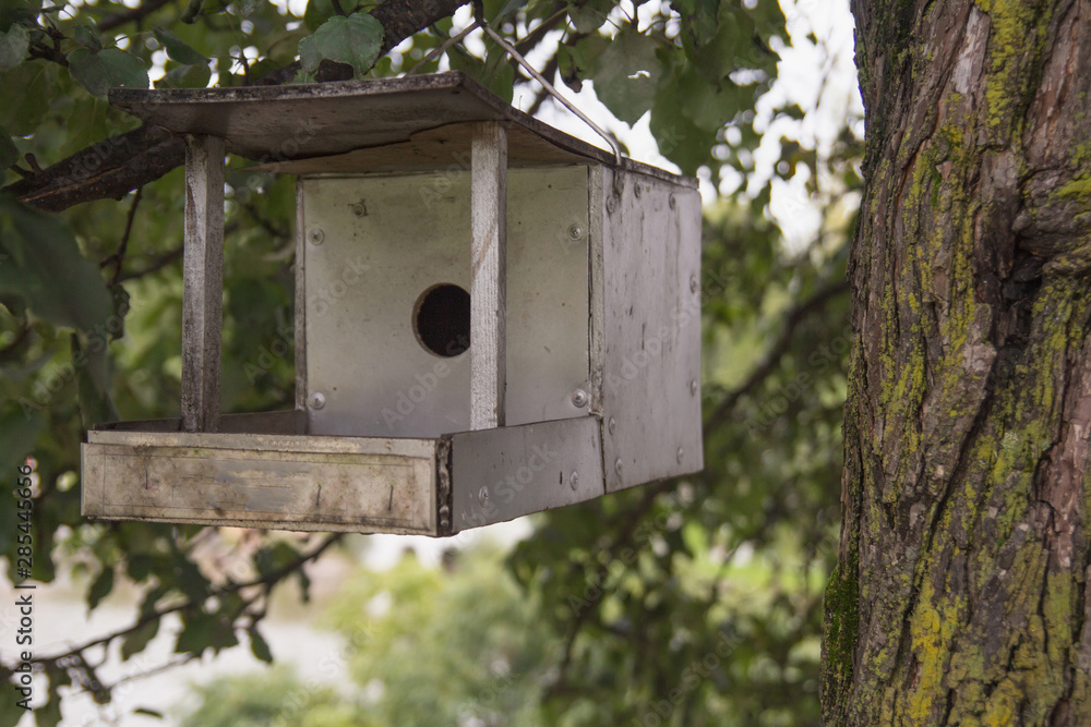 wooden birdhouse (nesting box) located on the tree in park or in forest or in Nature reserve wooden birdhouse (nesting box) located on the tree in park or in forest or in Nature reserve