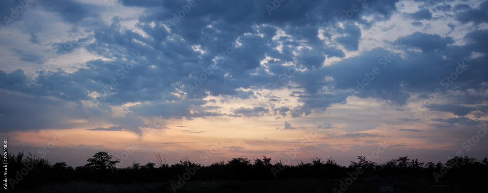 Panorama, silhouettes of trees against a cloudy sky at sunset