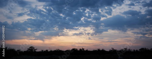 Panorama, silhouettes of trees against a cloudy sky at sunset