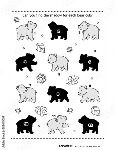 Shadow game with  bear cubs