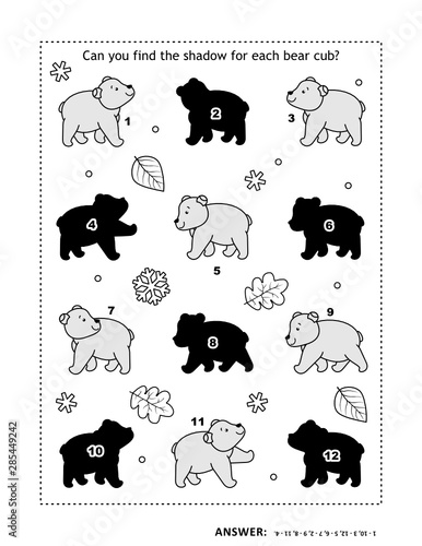 Shadow game with  bear cubs. Answer included.