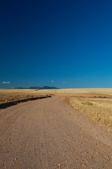 Papier peint photo Le salon agricultural field with yellowing grass  © Diana Taliun