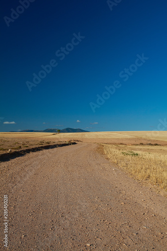 agricultural field with yellowing grass