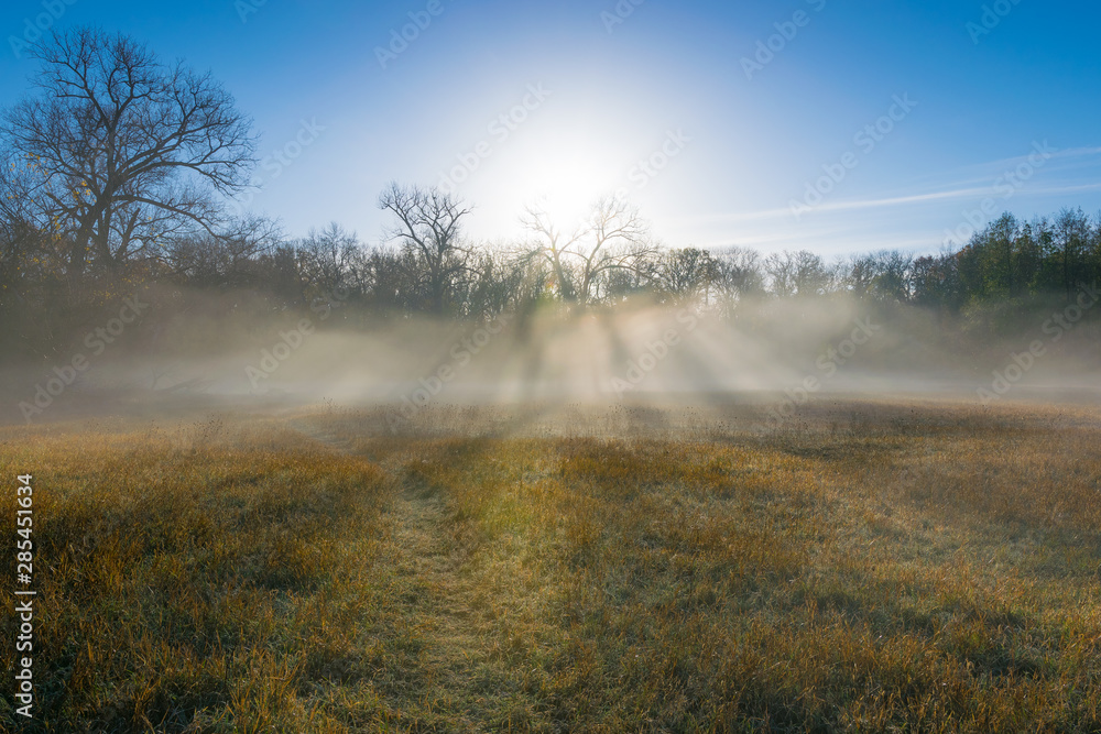 Sonnenaufgang mit Nebel an Feld und Wald im Herbst
