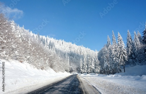 a road through the snow-covered trees
