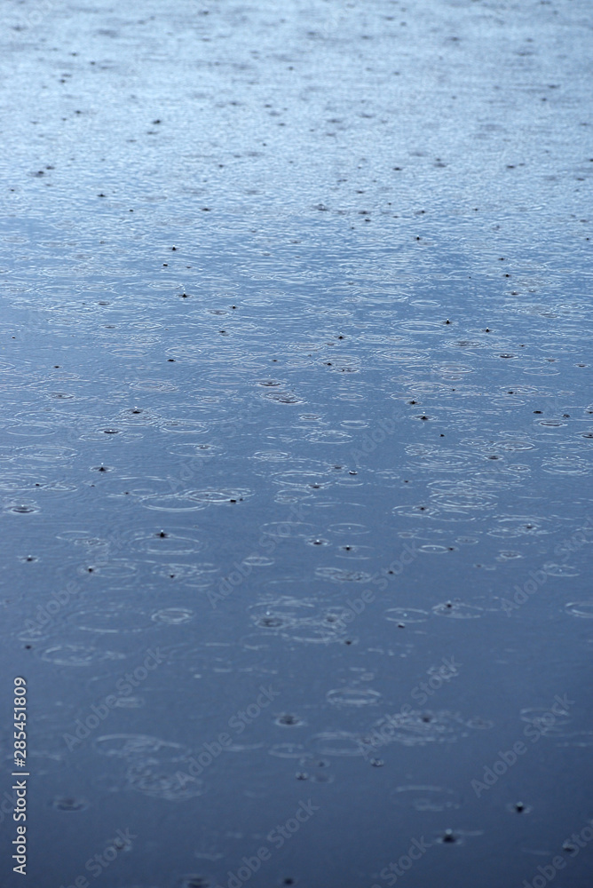 雨の波紋 雨の波紋