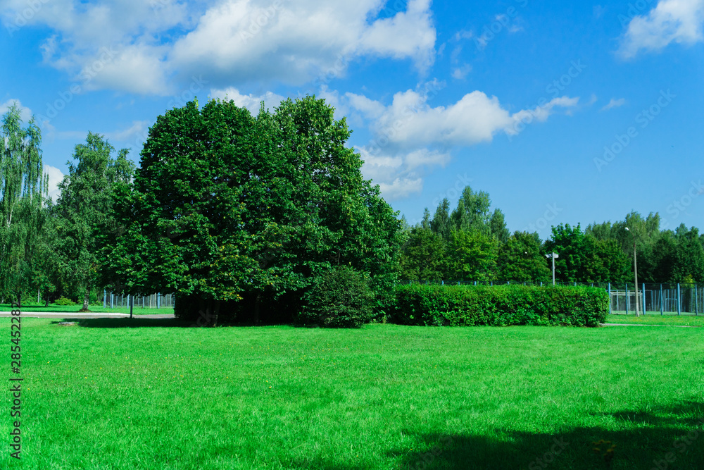 summer green park without people with blue sky and white clouds summer green park without people with blue sky and white clouds