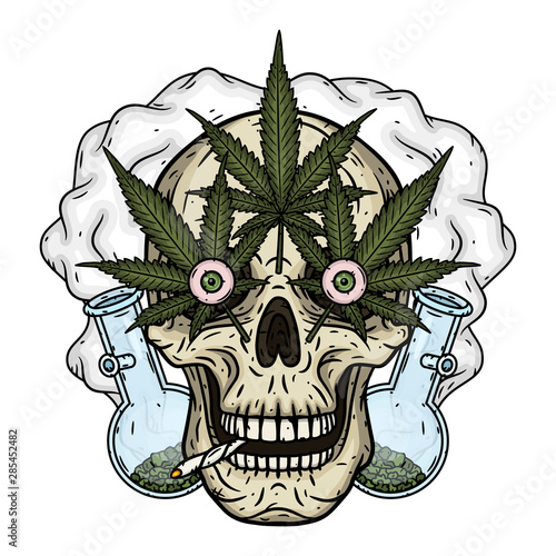 Skull. Skull with bong and marijuana leaves. Rastaman skull with cannabis leafs and spliff.