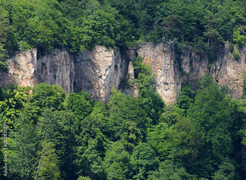 Fototapeta premium Rocks. A steep cliff in the middle of the green forest.