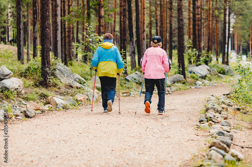 Older women go Nordic walking with sticks in coniferous forest, concept that is good for fitness