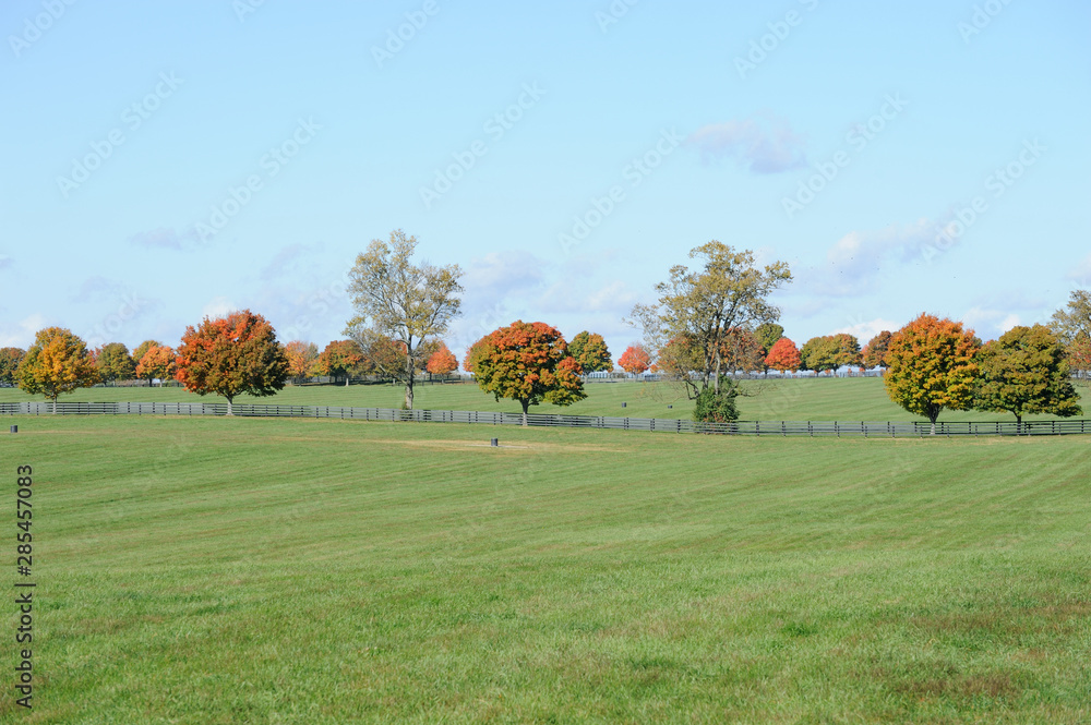Fototapeta premium Colors of Fall