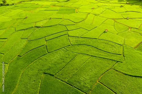 Aerial view of agriculture in rice fields for cultivation in Nan Province, Thailand.