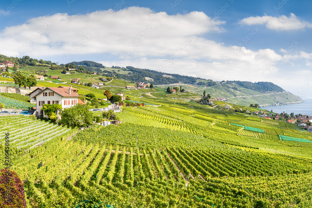 The Lavaux Vineyard Terraces, stretching for about 30 km along the south-facing northern shores of Lake Geneva from the Chateau de Chillon to the eastern outskirts of Lausanne in the Vaud region.