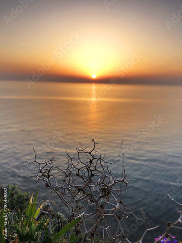 Bozcaada Island in Canakkale Sunset with cactus