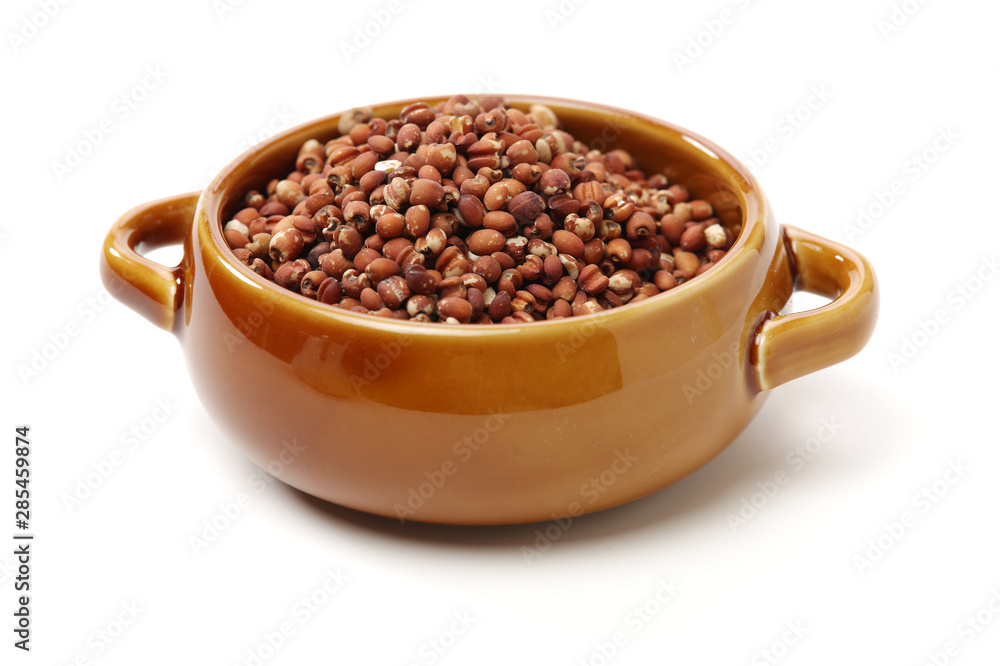 Job's tears coix lachryma jobi grain seeds on white background Job's tears coix lachryma jobi grain seeds on white background