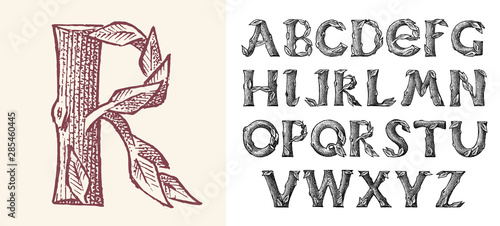 Antique wood Font for forest posters. Decorative ancient alphabet. Vintage typeface. Double exposure Trees and branches. Editable and layered. Hand drawn Vector modern letters for banners.