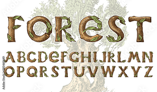 Antique wood Font for forest posters. Decorative ancient alphabet. Vintage typeface. Double exposure Trees and branches. Editable and layered. Hand drawn Vector modern letters for banners.