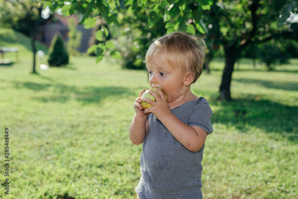 cute little boy eating apple outdoor cute little boy eating apple outdoor